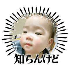 risa_20250201161951
