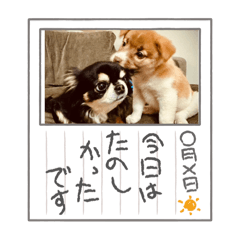 Ichi_20250202000144