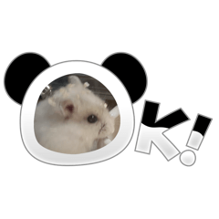 misanga_20250201222131