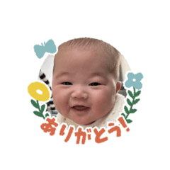 hona_20250201165652