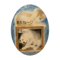 mayu_20250201165614