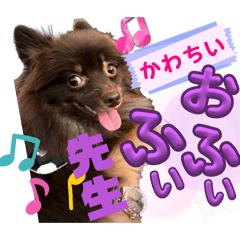 Shun_20250201193807