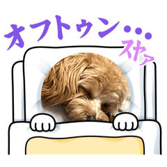 moko_20250202001512