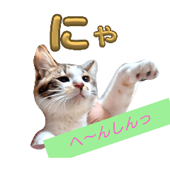 runachaaaan