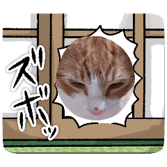 sachi_20250201215418