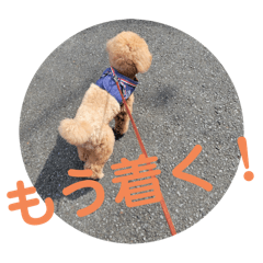 Kenshin_20250201215710