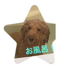 nami_20250202063653