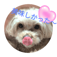Yukie_20250201230801