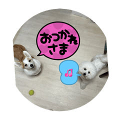YUKI_20250201231753