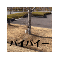 Haruandtumugi_20250202133040