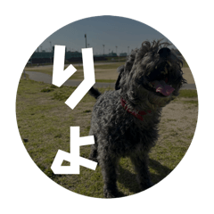 airi_20250202101032