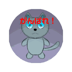cat_20250202130919