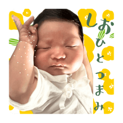 yuki_20250201215305