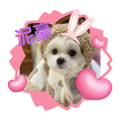 哈啾可愛