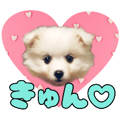 nami_20250201234411