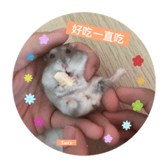 寵物友善