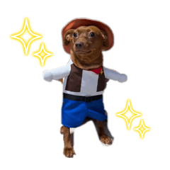 manamaru_20250201230408