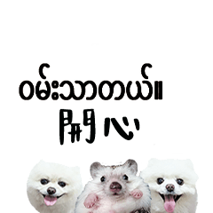 (Myanmar Chinese) Hedgehog Dog Daily