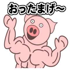 muscle pig vol.1