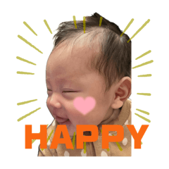 taisei_20250202092922