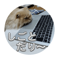 chacha_20250202103443