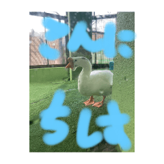 aooni_20250202112922