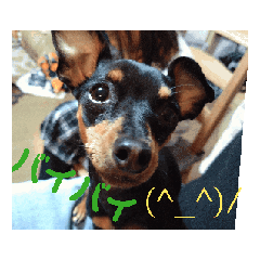 RiRi_20250202165204