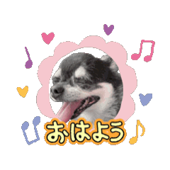 hikari_20250202174358