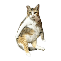 糊女士與老鼠1.0