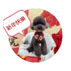 可愛的狗狗QQ