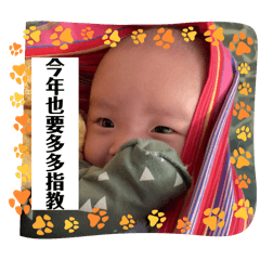 多多新年日常貼圖