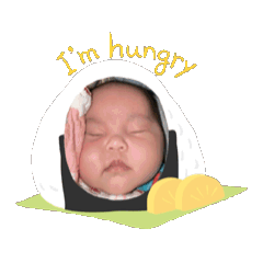 小寶包的日常