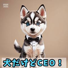 CEO Husky in a suit