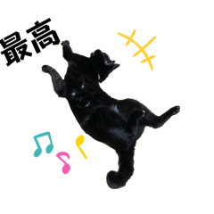 Annie_20250201123219