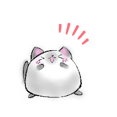 chubby cats(no text)