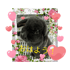nao_20250201204501