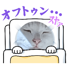 Happy_20250201200235