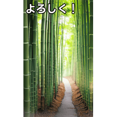 Bamboo forest background effect