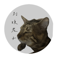 別看哥