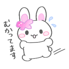 Ringo_20250202043435