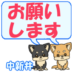 Nakaarai's letters Chihuahua2