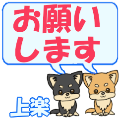 Kamiraku's letters Chihuahua2