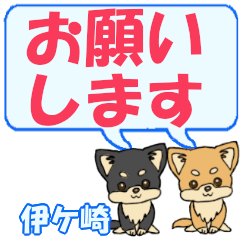 Ikesaki's letters Chihuahua2