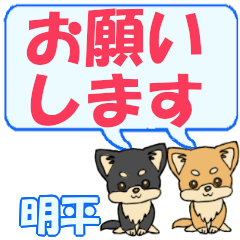 Akehira's letters Chihuahua2