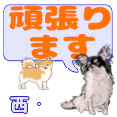 Nishimura's letters Chihuahua (2)