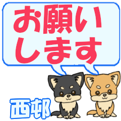 Nishimura's letters Chihuahua2 (2)