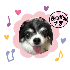 kao_20250202121602
