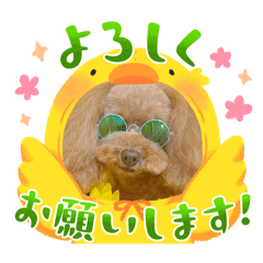 komachi_20250202170012
