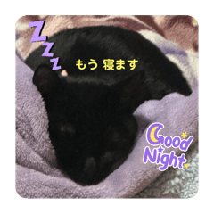 OHAGI_20250203111824