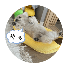 Haruandtumugi_20250202135542